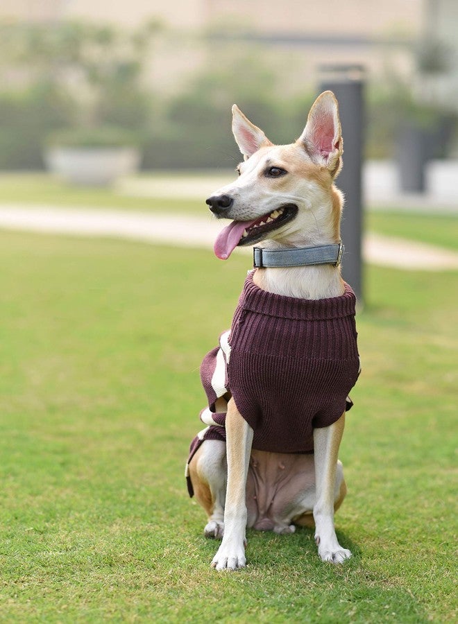 Mutt of Course كنزة صوفية بنفسجية (مقاس 3XL) من Mutt of Course Warm Regards، مناسبة للكلاب الهندية والدلماسية وغيرها من السلالات المشابهة. - Image 2